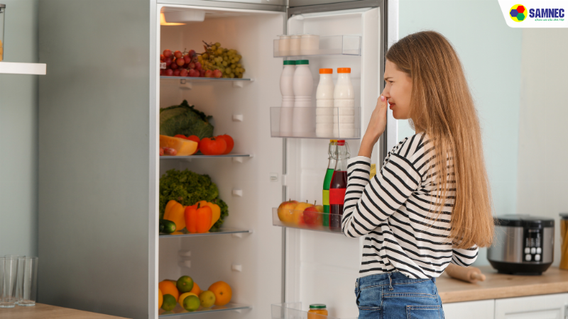 Lợi ích bất ngờ của chân kê tủ lạnh trong việc bảo vệ thiết bị và sàn nhà